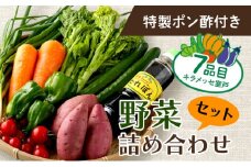 大地の恵みをお裾分け！季節の野菜詰め合わせセット 7種類 【特製ポン酢付】 新鮮 旬 春 おまかせ 5000円