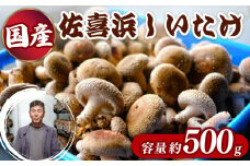 国産 佐喜浜しいたけ 約500g 椎茸 しいたけ 肉厚 うまみ 菌床 きのこ キノコ 調理 料理 ごはん ご飯 6000円 高知県
