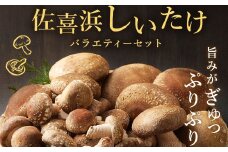 佐喜浜しいたけバラエティーセット_ 国産 高知県 椎茸 シイタケ 規格外 訳あり