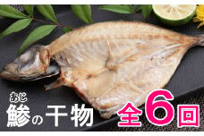 年６回お届け！ナカイチ海産「アジの干物」定期便 頒布会