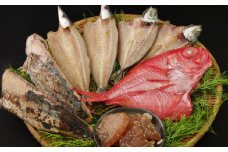 ナカイチ厳選！かつおのたたき 干物 セット アジ サバ カマス かつお 鰹 藁焼き 国産 1万円 10000円 高知