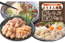 土佐はちきん地鶏の鶏しゃぶ＆鶏鍋堪能セット