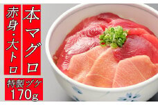 板前特製たれ仕込み！初音の本マグロ（赤身・大トロ）漬け丼  本まぐろ 鮪 父の日 クロマグロ