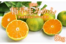 【先行予約】訳あり 極早生みかん 5kg |  黒潮の恵みをたっぷり浴びた さっぱり甘い 蜜柑 柑橘 果物 フルーツ 旬 産地直送 数量限定 規格外 大小混合 高知県 室戸市