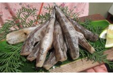 高知県産特大目光の干物