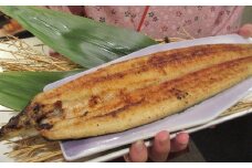 高知県産うなぎ白醤油焼き