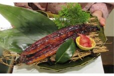 室戸の炙り鯖寿司とうなぎの蒲焼きセット