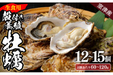 【国産】殻付き牡蠣 旅する牡蠣 プレミアムオイスター 室津 12～15個入り 室戸海洋深層水 生食用 生食 生ガキ 生食用カキ カキ 牡蠣 かき 魚貝類 冷蔵 先行予約 送料無料 ak004