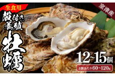 【国産】殻付き牡蠣 旅する牡蠣 プレミアムオイスター 室津 12～15個入り 室戸海洋深層水 生食用 生食 生ガキ 生食用カキ カキ 牡蠣 かき 魚貝類 冷蔵 先行予約 送料無料 ak004