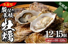 【国産】殻付き牡蠣 旅する牡蠣 プレミアムオイスター 坂越 12～15個入り 室戸海洋深層水 生食用 生食 生ガキ 生食用カキ カキ 牡蠣 かき 魚貝類 冷蔵 先行予約 15000円 送料無料 ak002