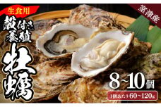 【国産】殻付き牡蠣 旅する牡蠣 プレミアムオイスター 室津 8～10個入り 室戸海洋深層水 生食用 生食 生ガキ 生食用カキ カキ 牡蠣 かき 魚貝類 冷蔵 先行予約 10000円 1万円 送料無料 ak003