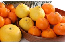 【訳あり】柑橘詰め合わせセット（約２．５ｋｇ）