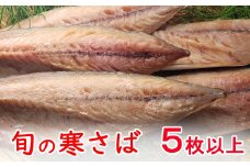 今だけ！室戸旬どれ寒さば干物５枚以上