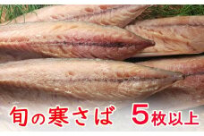 今だけ！室戸旬どれ寒さば干物５枚以上