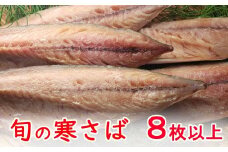 今だけ！室戸旬どれ寒さば干物８枚以上