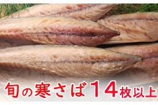 今だけ！室戸旬どれ寒さば干物１４枚以上