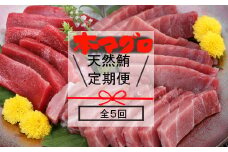 【定期便5回】 厳選天然本マグロ 豪華お楽しみ定期便 1回あたり約600g 【訳あり】 まぐろ 鮪 大トロ 中トロ 赤身 食べ比べ 刺身 刺し身 海鮮丼 寿司 魚 魚介類 冷凍  定期便 5回 頒布会