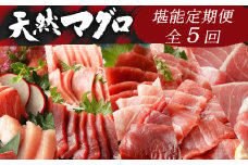 【定期便5回】厳選天然マグロ 堪能定期便 お楽しみ 【訳あり】 まぐろ 鮪 大トロ 中トロ 赤身 南マグロ めばちマグロ びんちょうマグロ 食べ比べ 刺身 刺し身 海鮮丼 寿司 魚 魚介類 冷凍 定期便 5回 ふるさと納税限定 送料無料 ge008 頒布会