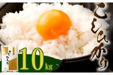 【令和５年産】室戸産新米コシヒカリ　１０ｋｇ