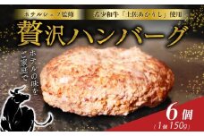 牛肉 高知県 室戸 市産 土佐 あかうし ハンバーグ 100％ ホテル シェフ 監修 150g×6個 幻 の 和牛 赤身 が 美味しい 冷凍 湯煎 調理 贈答 BBQ ハンバーグステーキ 