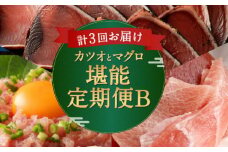 【定期便 3回】マグロ と カツオ の 堪能定期便 B | 海鮮 鮪 鰹 ネギトロ 刺身 海産物 魚介類 鮪 まぐろたたき 魚 海鮮 冷凍 タカシン 定期便 海鮮定期便 人気定期便 ランキング お楽しみ 頒布会 ふるさと納税 定期便 美味しい 惣菜 お取り寄せ おさしみ 天然本マグロ 藁焼きかつおのたたき 本場 高知県 室戸市 3万円 30000円 以下 頒布会