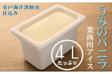 うみのバニラ４L 業務用アイス