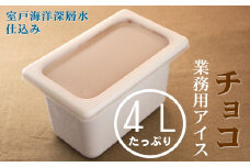 チョコ４L 業務用アイス