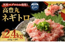 【6回定期便】【訳あり】高豊丸 ネギトロ 合計2.4kg (400g×6回) ふるさと納税限定 高品質 まぐろたたき まぐろのたたき 訳あり 魚 惣菜 小分け 海鮮丼 手巻き寿司 冷凍 頒布会