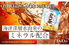 【6回定期便】DyDo ダイドー おいしい麦茶 合計144本 600ml×24本×6回 麦茶 むぎ茶 カフェインゼロ お茶 飲料水 ペットボトル ドリンク 定期便 6ヶ月 送料無料 nm044 頒布会