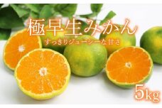 【先行予約】極早生みかん 5kg | 数量限定 みかん 季節の柑橘 家庭用 訳あり 柑橘 蜜柑 みかん mikan 果物 くだもの フルーツ 産地直送 期間限定 国産 高知県 室戸市