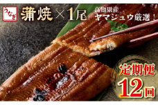 ヤマジュウ厳選！国産蒲焼き１尾【１２回定期便】 頒布会