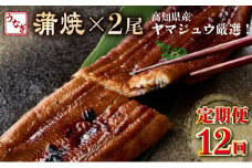 ヤマジュウ厳選！国産蒲焼き２尾【１２回定期便】＿うなぎ 鰻 ウナギ 2尾 国産 高知県産 蒲焼き かばやき 冷凍 うな重 ひつまぶし タレ ランキング 人気 12回 定期便 頒布会