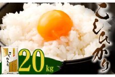 【令和５年産】室戸産新米コシヒカリ　２０ｋｇ