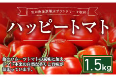 ハッピートマト１．５ｋｇ【室戸海洋深層水ブランドマーク取得】