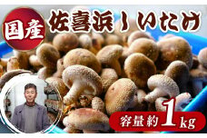 国産 佐喜浜しいたけ 約1㎏ 椎茸 しいたけ 肉厚 うまみ 菌床 きのこ キノコ 調理 料理 ごはん ご飯 10000円以上 1万 高知県 