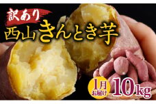 【令和８年１月お届け】西山きんとき芋（さつまいも） 訳あり 10kg ブランド芋 さつまいも サツマイモ さつま芋 焼き芋 やきいも ヤキイモ 野菜 大小混合 傷 故郷納税 送料無料