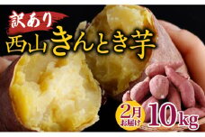 【令和８年２月お届け】西山きんとき芋（さつまいも） 訳あり 10kg ブランド芋 高知県室戸市 さつまいも サツマイモ さつま芋 焼き芋 やきいも ヤキイモ 野菜 大小混合 傷 故郷納税 送料無料 ta029