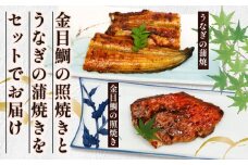 金目鯛照焼きと厳選うなぎの蒲焼セット うな重 鰻 ウナギ きんめだい キンメダイ 丼 高知県産 人気 簡単調理 土用の丑 健康 室戸名物 うな丼 キンメ丼 惣菜 おかず