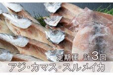 黒潮干物１１枚定期便【全３回】 頒布会