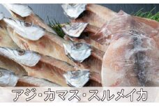 黒潮干物セット（１１枚）