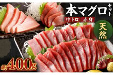 厳選天然本マグロ中トロ 赤身 食べきり セット ４００ｇ 本まぐろ 100% 冷凍 刺身 海鮮 丼 父の日