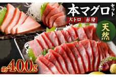 厳選天然本マグロ大トロ・赤身食べきりセット【約４００ｇ】まぐろ 海鮮 冷凍 刺身 鮪 父の日 高知県 室戸市 さしみ マグロ 