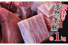 【訳あり】厳選天然本マグロ　約１ｋｇ まぐろ 鮪 冷凍 刺身 さしみ 父の日 高知県 室戸 