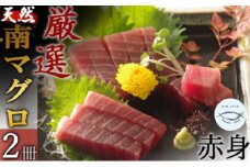 【赤身】天然南マグロ　赤身　２柵【解凍書付】まぐろ 鮪 海鮮 冷凍 さしみ 刺身 父の日 高知 室戸 マグロ