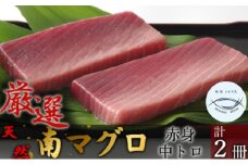 【中トロ】【赤身】天然南マグロ　中トロ１柵　赤身１柵【解凍書付】まぐろ 鮪 海鮮 冷凍 さしみ 刺身 父の日 高知 室戸 マグロ