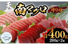 【中トロ】天然南マグロ　中トロ２柵【解凍書付】まぐろ 鮪 海鮮 冷凍 さしみ 刺身 父の日 高知 室戸 マグロ