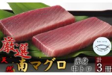 【中トロ】【赤身】天然南マグロ　中トロ２柵　赤身１柵【解凍書付】まぐろ 鮪 海鮮 冷凍 さしみ 刺身 父の日 高知 室戸 マグロ