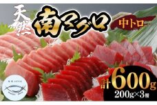 【中トロ】天然南マグロ　中トロ３柵【解凍書付】まぐろ 鮪 海鮮 冷凍 さしみ 刺身 父の日 高知 室戸 マグロ