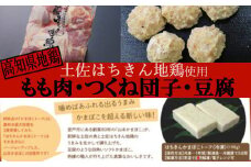 室戸のはちきん地鶏揚げもん