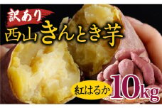 先行予約！【訳あり】土付き西山きんとき芋（紅はるか）　１０ｋｇ